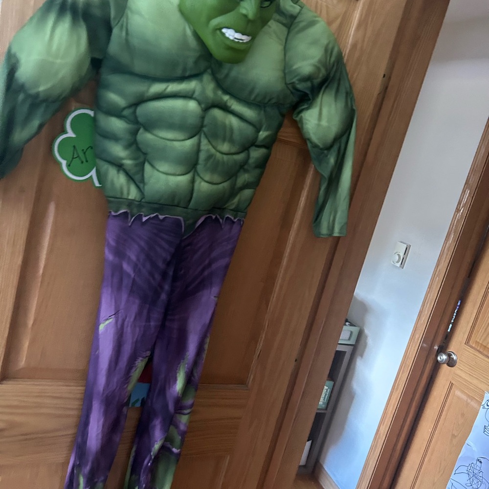 Kids Hulk costume